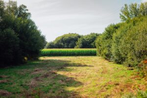podzial-dzialki-–-procedura-koszty-i-czas-oczekiwania
